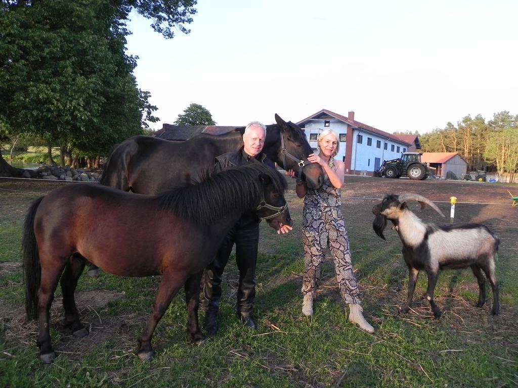 Gospodarstwo agroturystyczne Gutshof Dragefeld Krzyż